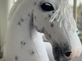 Hobby Horsing Arkliukai