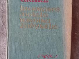 Literatūros mokslo terminų žodynėlis, 1961