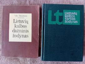 Lietuvių kalbos dažninis ir tarties žodynai