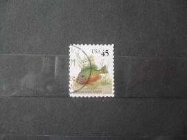 1992 m. Žuvis – moliūgų saulėžuvė
