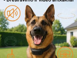 Nematoma bevielė elektrinė tvora dviems šunims
