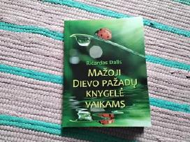 Mažoji Dievo pažadų knygelė vaikams Ričardas Dalis