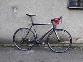 Bulls Desert Falcon Pro 2014