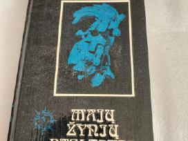 Majų žynių paslaptis
