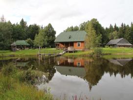 Pirtis plungeje,kubilas,poilsis kaime