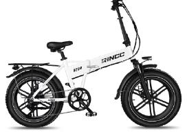 Naujiena Lietuvoje! Elektrinis dviratis Rincc R200