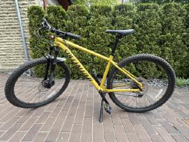 Specialized Rockhopper Expert 29
