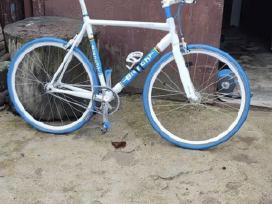 Bianchi single speed