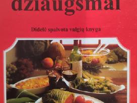 Virtuvės džiaugsmai. Didelė spalvota valgių knyga