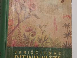 Knyga J. Kriščiūno "Bitininkystė"