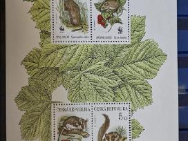 Čekija 1996 m. Wwf