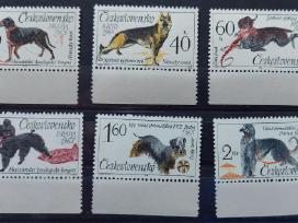 Čekoslovakija 1965 Šunis