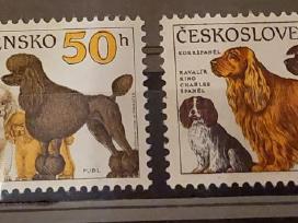 Čekoslovakija 1990 šunis
