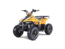 Benzininis keturratis Tao Mudhawk 110cc