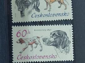 Čekoslovakija 1973 šunis