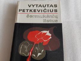 Šermukšnių lietus