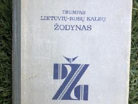 Žodynėlis