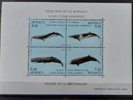 Monakas 1993 banginai, švarus