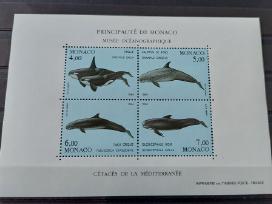 Monakas 1994 banginai, švarus,