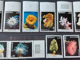 Monakas 1980 jūros fauna, švarus,