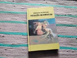 Blėstančios šlovės riteris. Kaltės jausmas Anė Mei