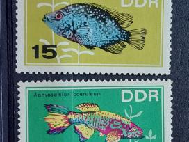 Vokietija(ddr)1966 akv.žuvis, švarus, Michel Nr12