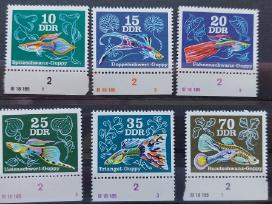 Vokietija(ddr)1976 akv.žuvis, švarus, Michel Nr21