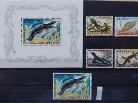 Belgija 1965 zoologijos sodas švarus, Michel Nr 14