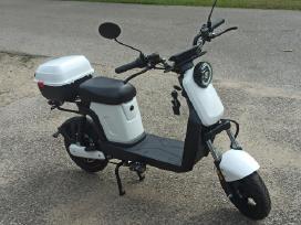 1000w Paspirtukas naujas elektriccity riedis