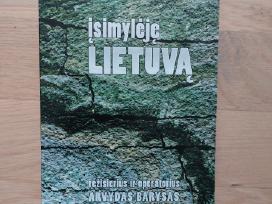Įsimylėję Lietuvą (Dvd)