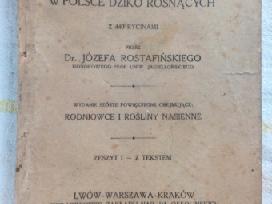 Antikvarinė knyga