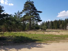 Žemės sklypas Gojaus k., Jašiūnų sen., Šalčininkų