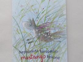 Nepaprasta kanapėtojo mustango kelionė.nauja knyga