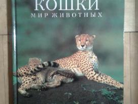 Ispudingas albumas "Bolsyje Koski" 1995m.