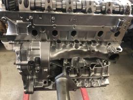 VW T3-t4-t5-t6 Varikliu kapitalinis remontas