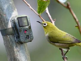 Medžioklės kamera Technaxx Mini Nature Wild Cam Tx