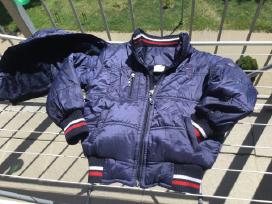 Vaikiška striuke Tommy Hilfiger