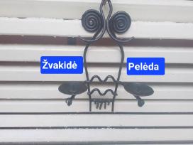 Kalviška žvakidė