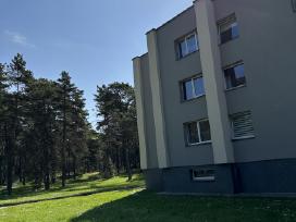 Ilgalaikė 2 k. buto nuoma Druskininkuose
