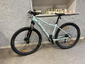 Scott Contessa 40