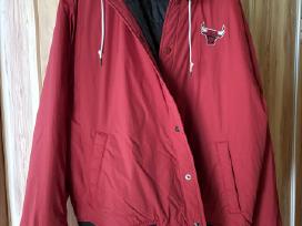Nike Chicago Bulls Courtside City striuke Dydis:XL