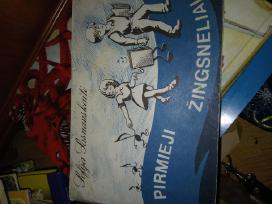 Pirmieji žingsneliai