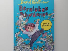 Knyga "Berniukas milijardierius". David Waliams