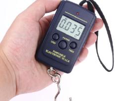 Pakabinamos elektroninės svarstyklės