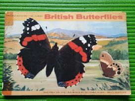 Arbatos kortelės British Butterflies (1927m)