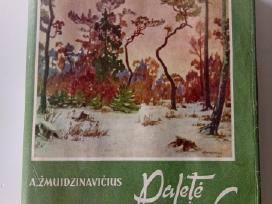 Paletė ir gyvenimas