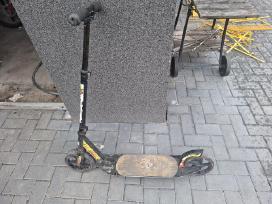 Paspirtukas