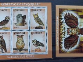 Azerbaidžanas 2001, apuokai, švarus, Michel block