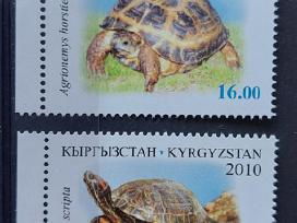 Kirgizija 2010 vežliai, švarus, Michel 644a-647a