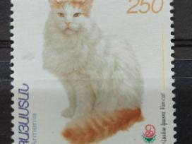 Armėnija 1999,kate, švarus, Michel 361